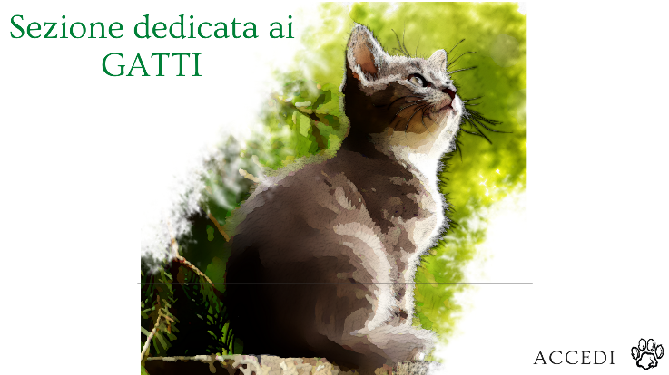 SEZIONE DEDICATA AI GATTI